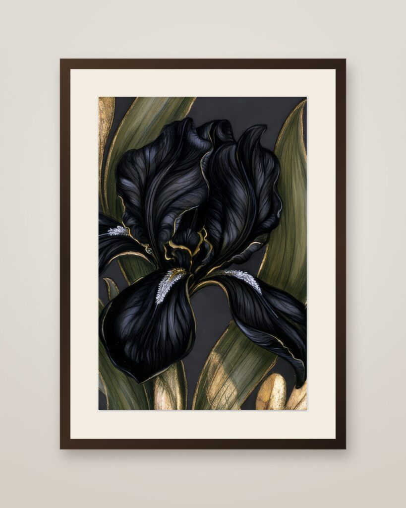 Black Iris Art Print in a dark wood frame with cream mat